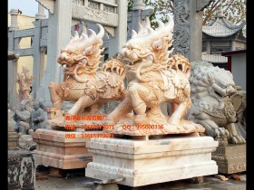 石麒麟分公母吗